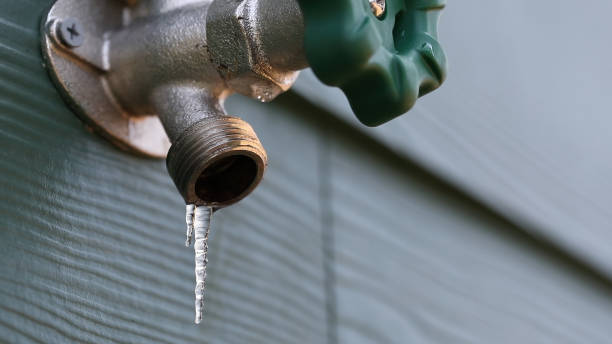 Best Emergency Plumber  in Watervliet, MI